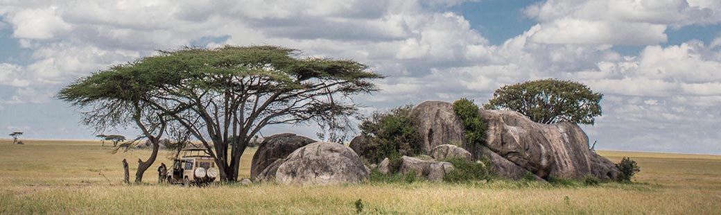 i Parchi della Tanzania