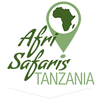 Afrisafaris Tanzania - Safari, Trekking e Tours in Tanzania